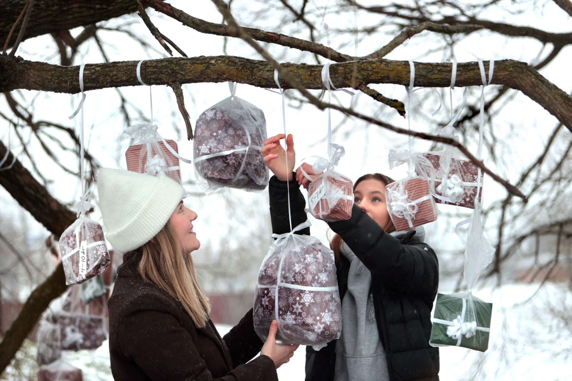 Ett träd fullt med julklappar – det har Sanna Tiger, 24, och Lova Larsson, 15, skapat i Karlstad. På Våxnäs står trädet som behövande familjer kan plocka en julklapp åt sina barn.