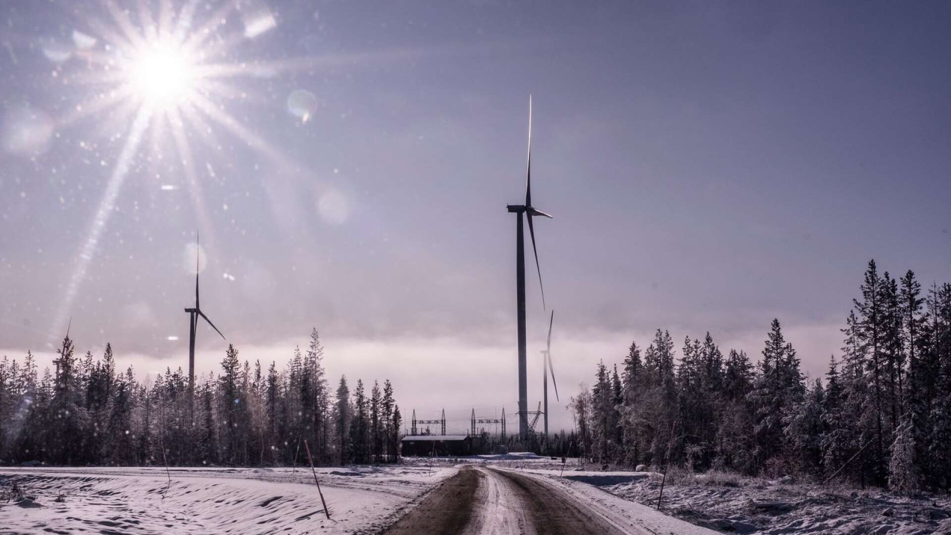 Vindkraften är snabb och billig att bygga ut, speciellt på land, skriver Agneta Andersson.