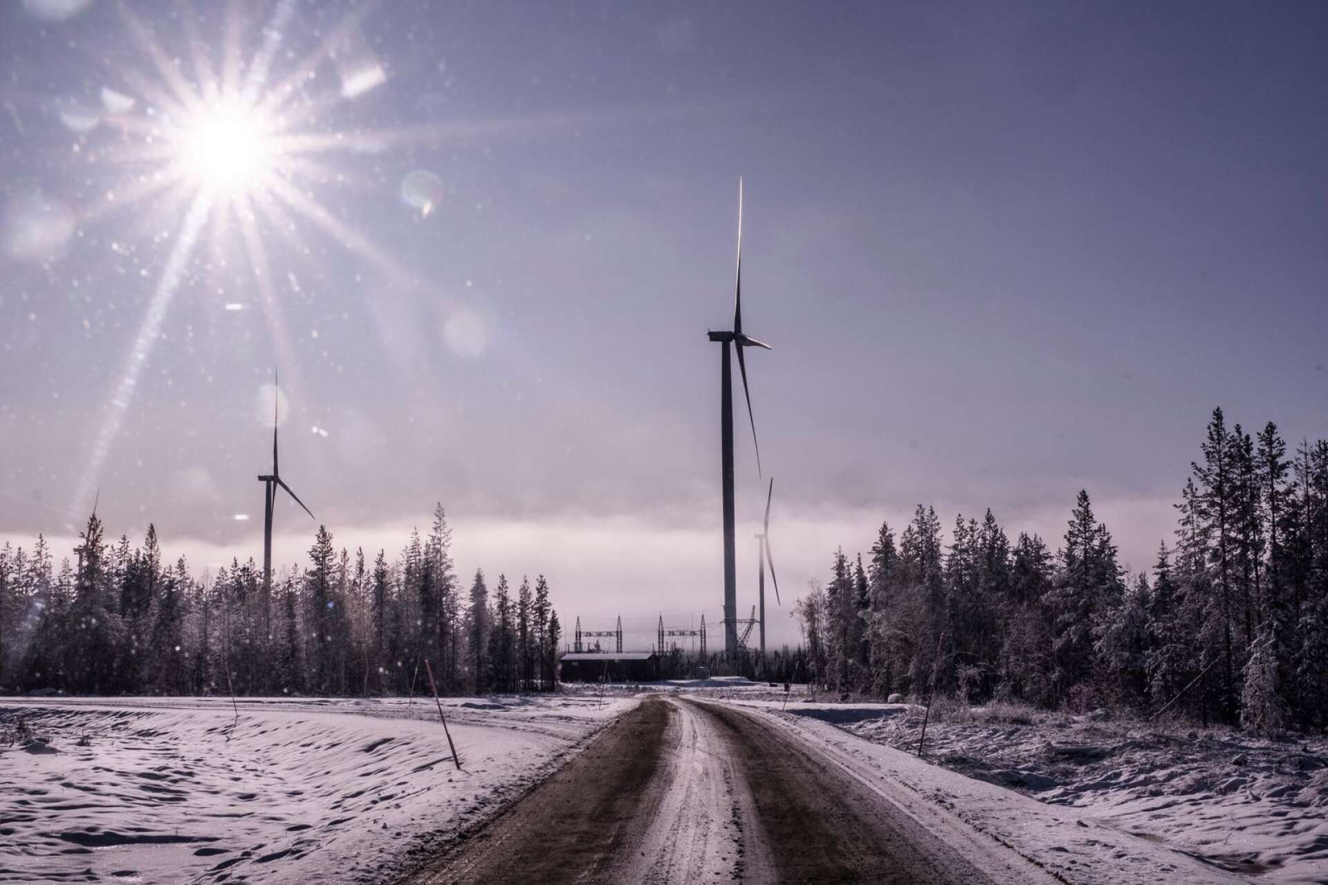 Vindkraften är snabb och billig att bygga ut, speciellt på land, skriver Agneta Andersson.