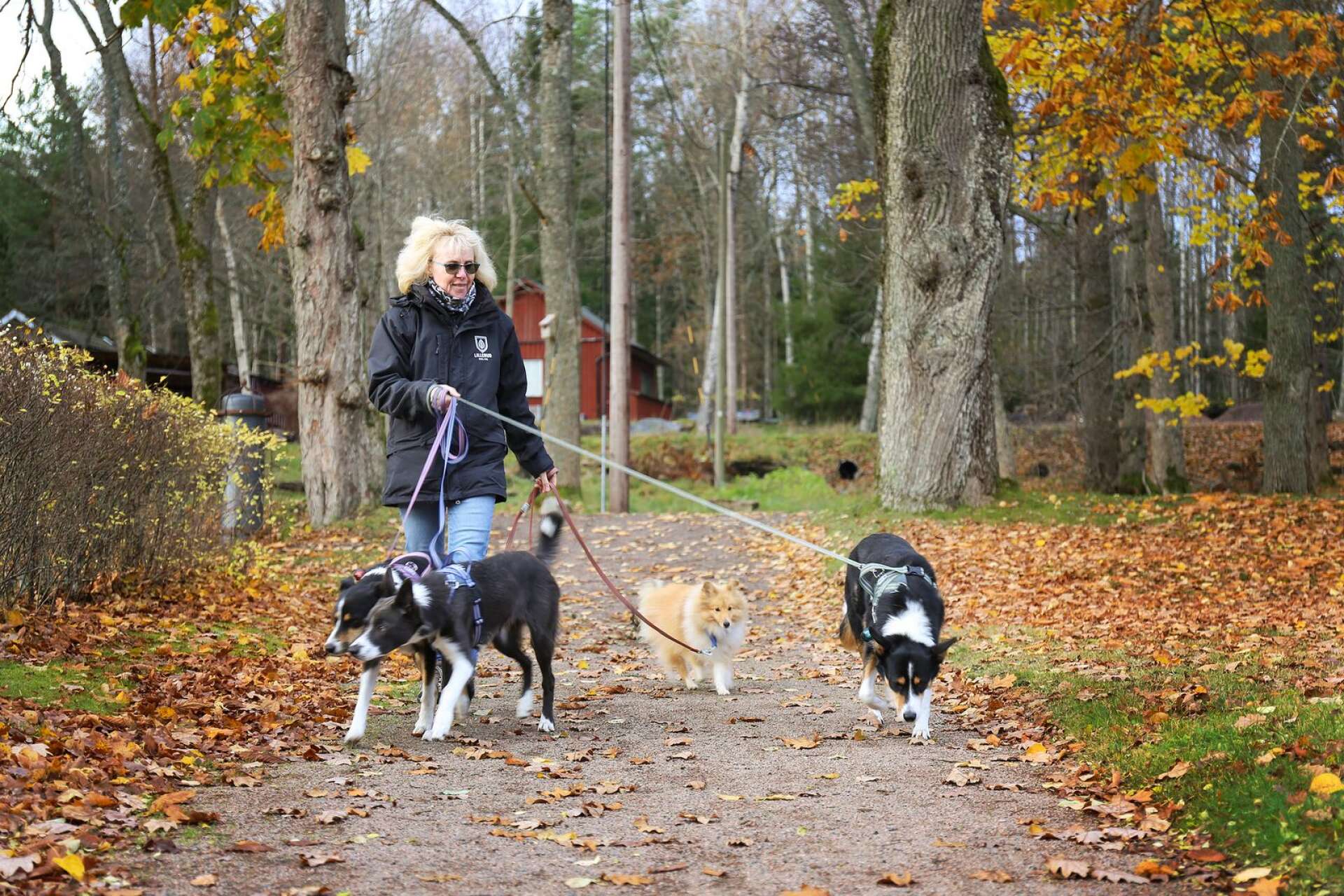Anita Axelsson har en stor erfarenhet av hundar. Med 40 år som hundägare och dessutom flera mästerskap och bokutgåvor i ryggen lär hon nu även ut om ämnet hund på Lillerudsgymnasiet.