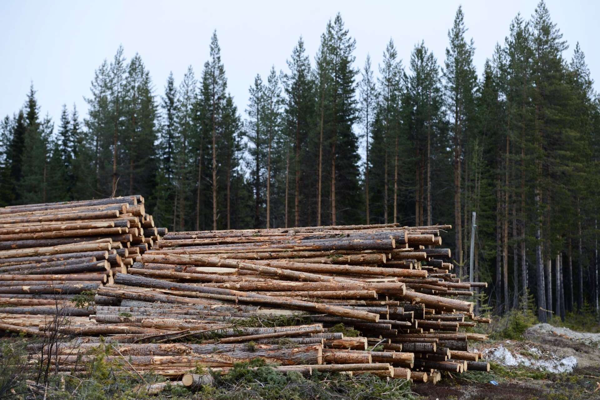 Många konsumenter vill helst köpa skogsprodukter från ett hållbart skogsbruk. Därför finns miljöcertifieringar som många skogsägare och virkesköpare är anslutna till, skriver Torbjörn Nilsson.