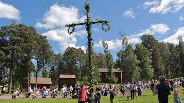 Midsommarstången i Örnäsparken restes på traditionellt sätt med förenade krafter.