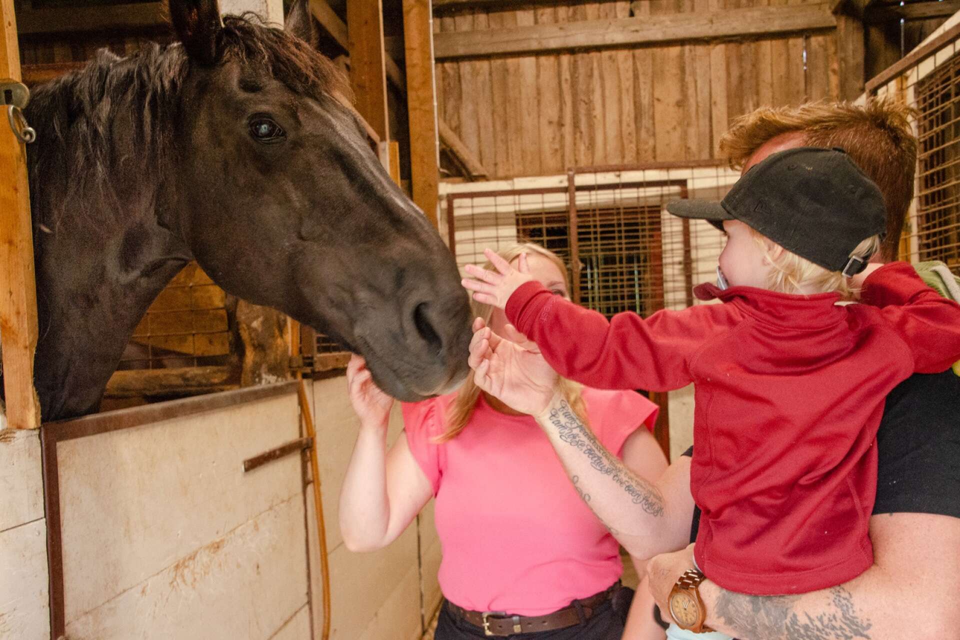 Karolina är unghästutbildare och har fyra hästar ute i stallet. 