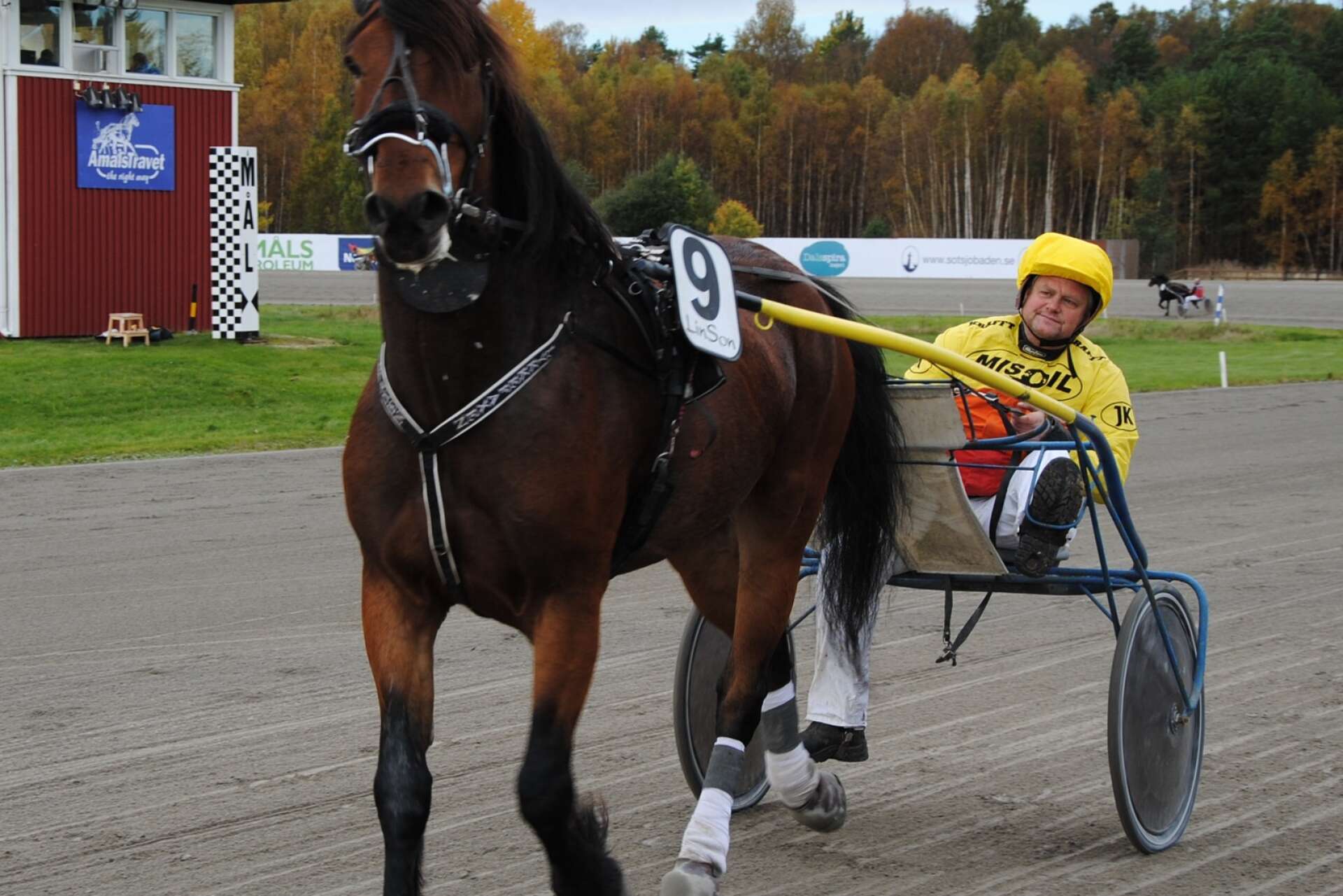 Lykkefaxen och Jimmy Karlsson i segerdefilering efter vinsten på Åmålstravet