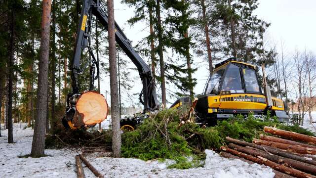 Det är viktigt att öka andelen hyggesfritt skogsbruk, skriver Torbjörn Nilsson (MP).