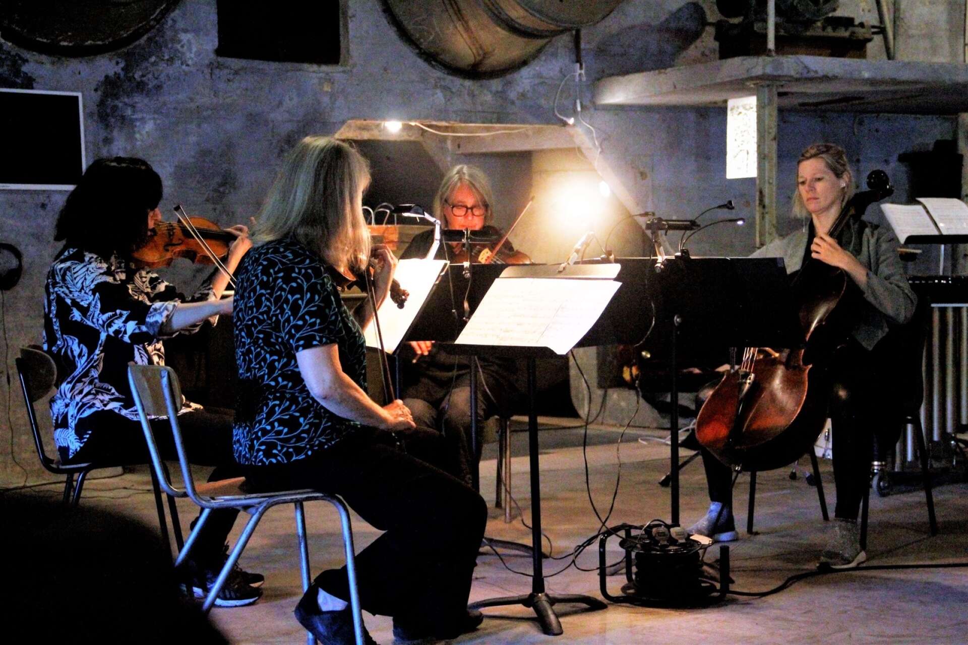 En stråkkvartett bestående av systrarna Anna och Eva Lindal, violin, Elsbeth Bergh, viola och My Hellgren, cello, spelade stycket ”Psalm XIII”av Djuro Zivkovic och fick långa applåder av publiken i Holländeriet.