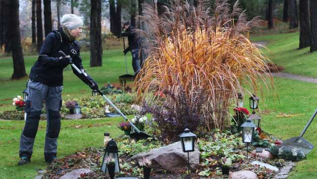 Under helgen väntas många göra ett besök på kyrkogården för att minnas dem som inte längre är i livet. På Östra begravningsplatsen i Mariestad jobbar Janett Ivarhag och hennes kollegor med förberedelserna inför allhelgonahelgen. 