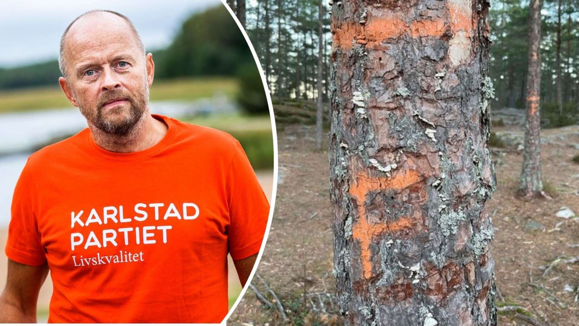 33 träd måste fällas – fler kan vara skadade