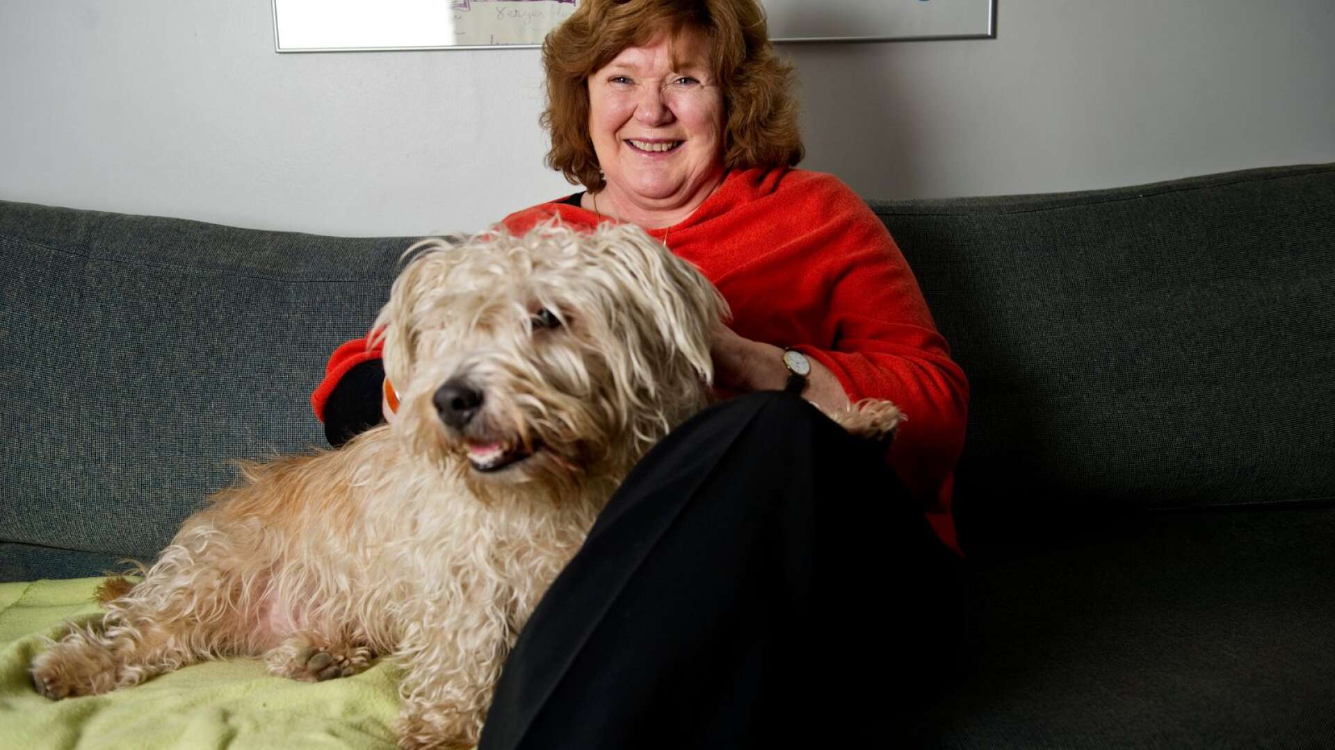 Författaren Majgull Axelsson har en glen of imaal-terrier som heter Molly.