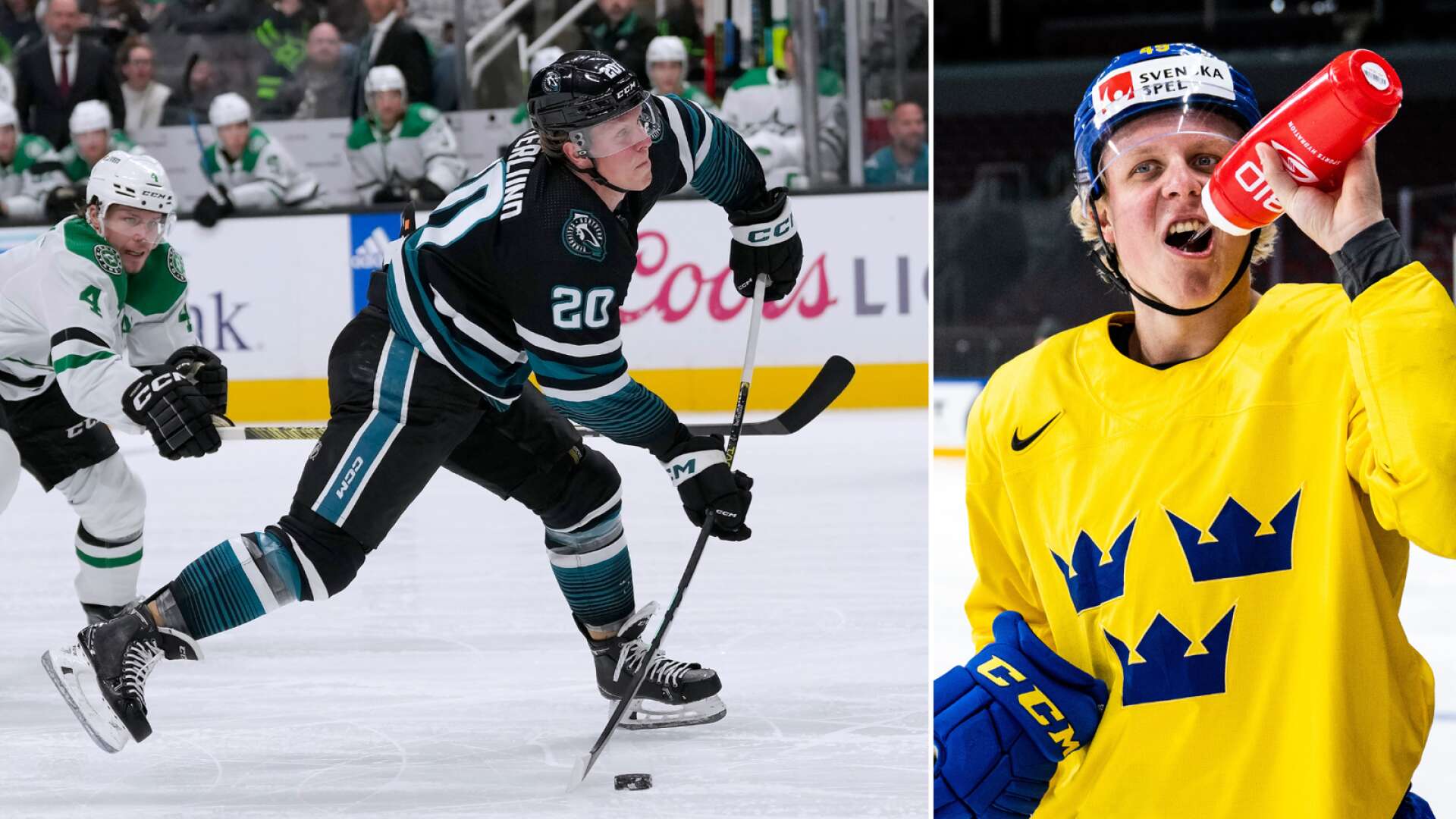 Fabian Zetterlund berättar om NHL-genombrottet, Tre Kronors VM-chanser och speciella laget: ”Värmlandskemi”