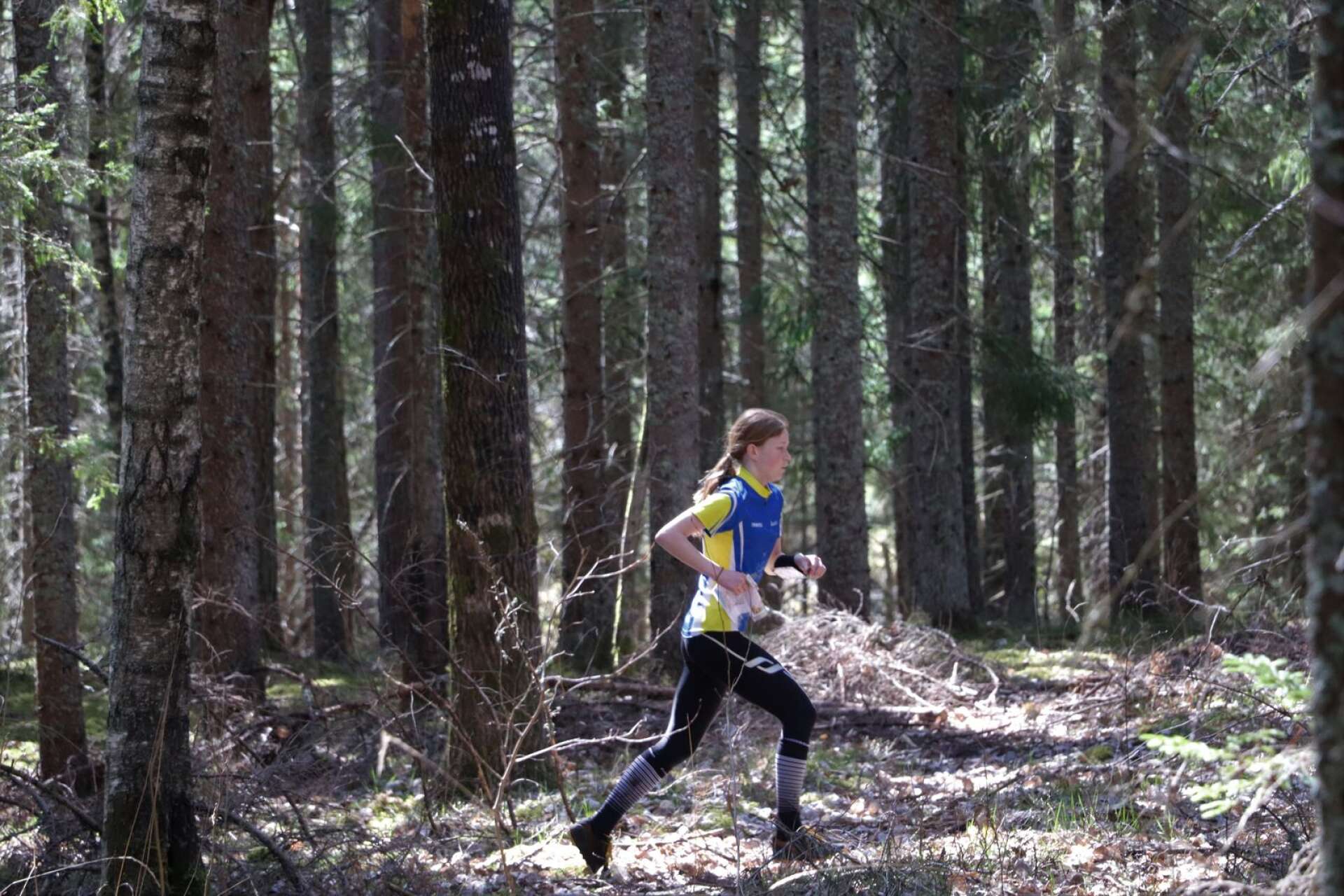 Jonna Åhl från Åmåls OK sveper fram i den glesa tallskogen utanför Värmskog under den andra dagen av Värmlandstrippeln. Hon vann D14-klassen.