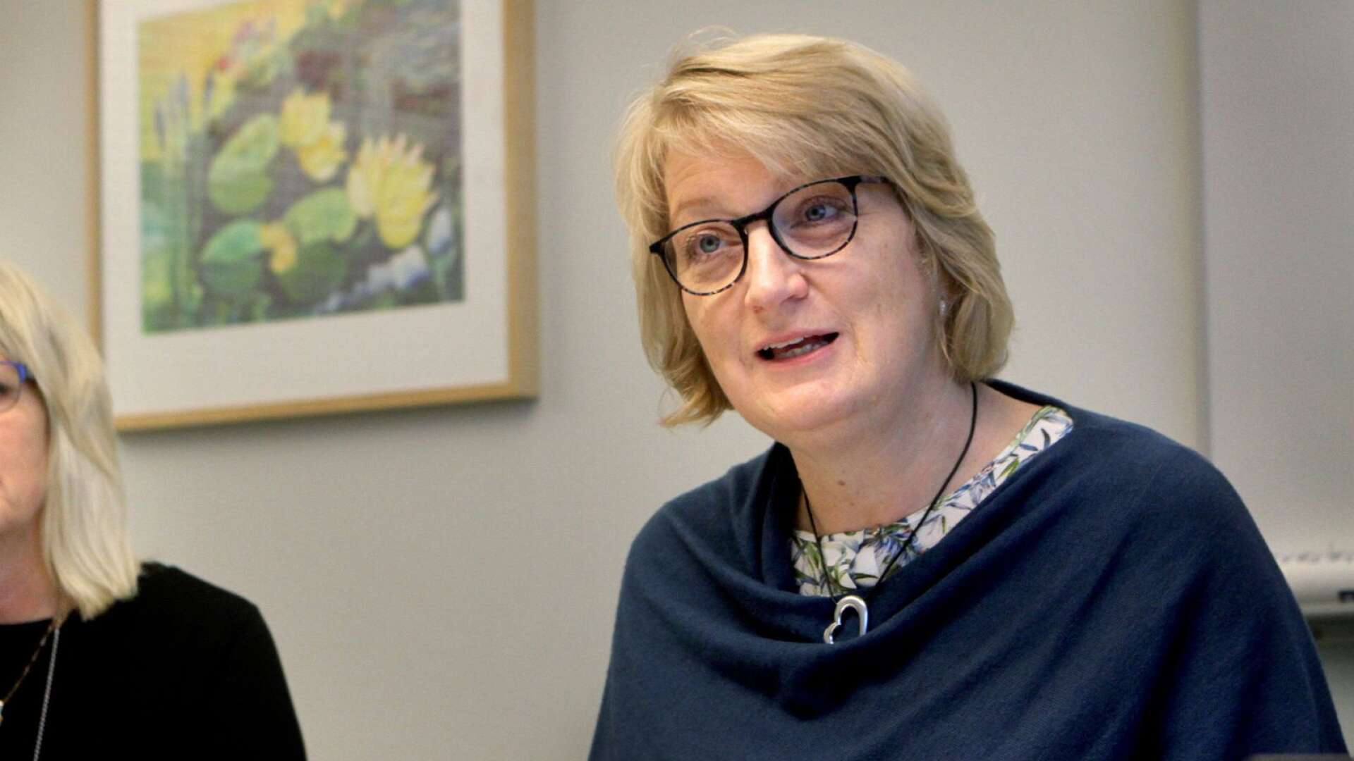  Gunilla Druve Jansson (C), ordförande i östra hälso- och sjukvårdsnämnden vill se en utredning angående dagsjukvårdsmottagningen. Arkivbild.