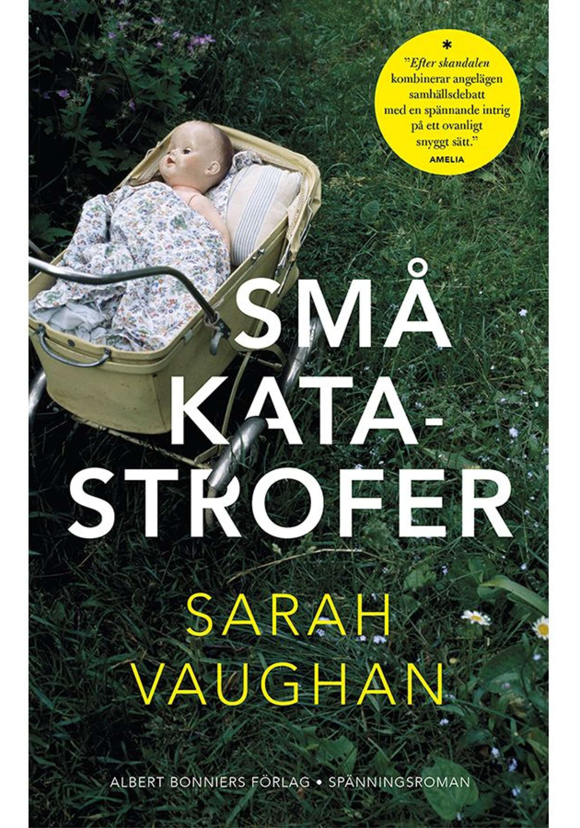 Små katastrofer av Sarah Vaughan (Albert Bonniers). Översättning av Johan Nilsson.