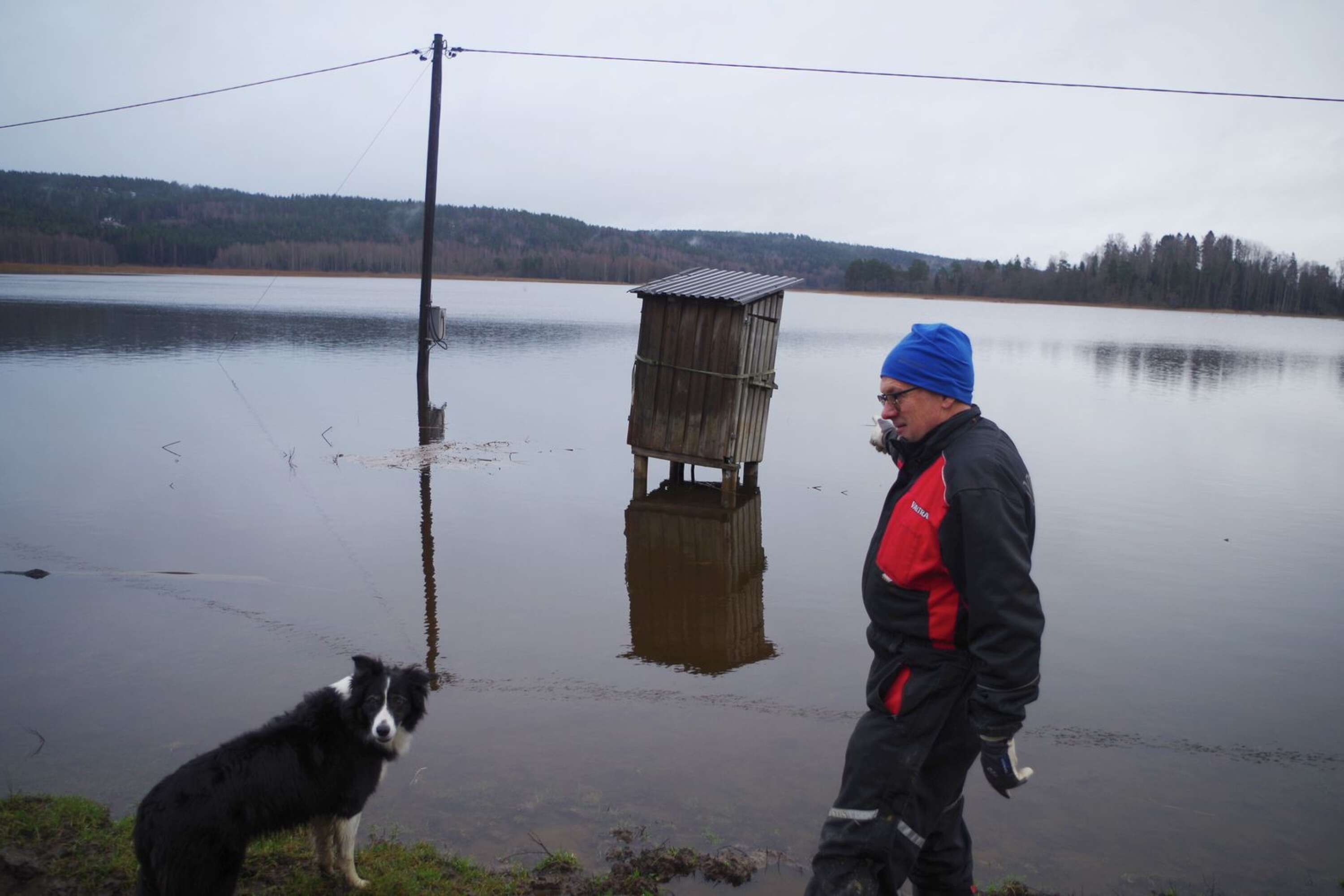 Jordbrukaren Arne Rosander med sin vallhund Emmett blickar ut över vattenfyllda åkrar.