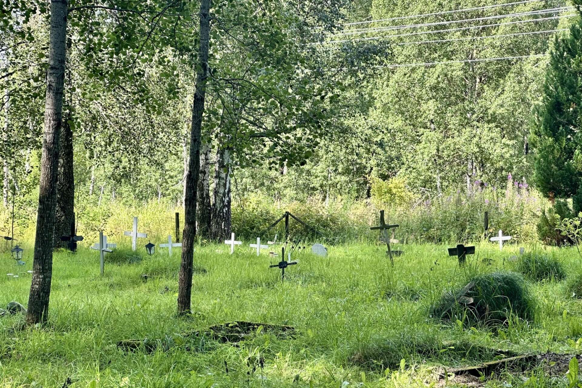 Djurkyrkogården i Säffle kommun.