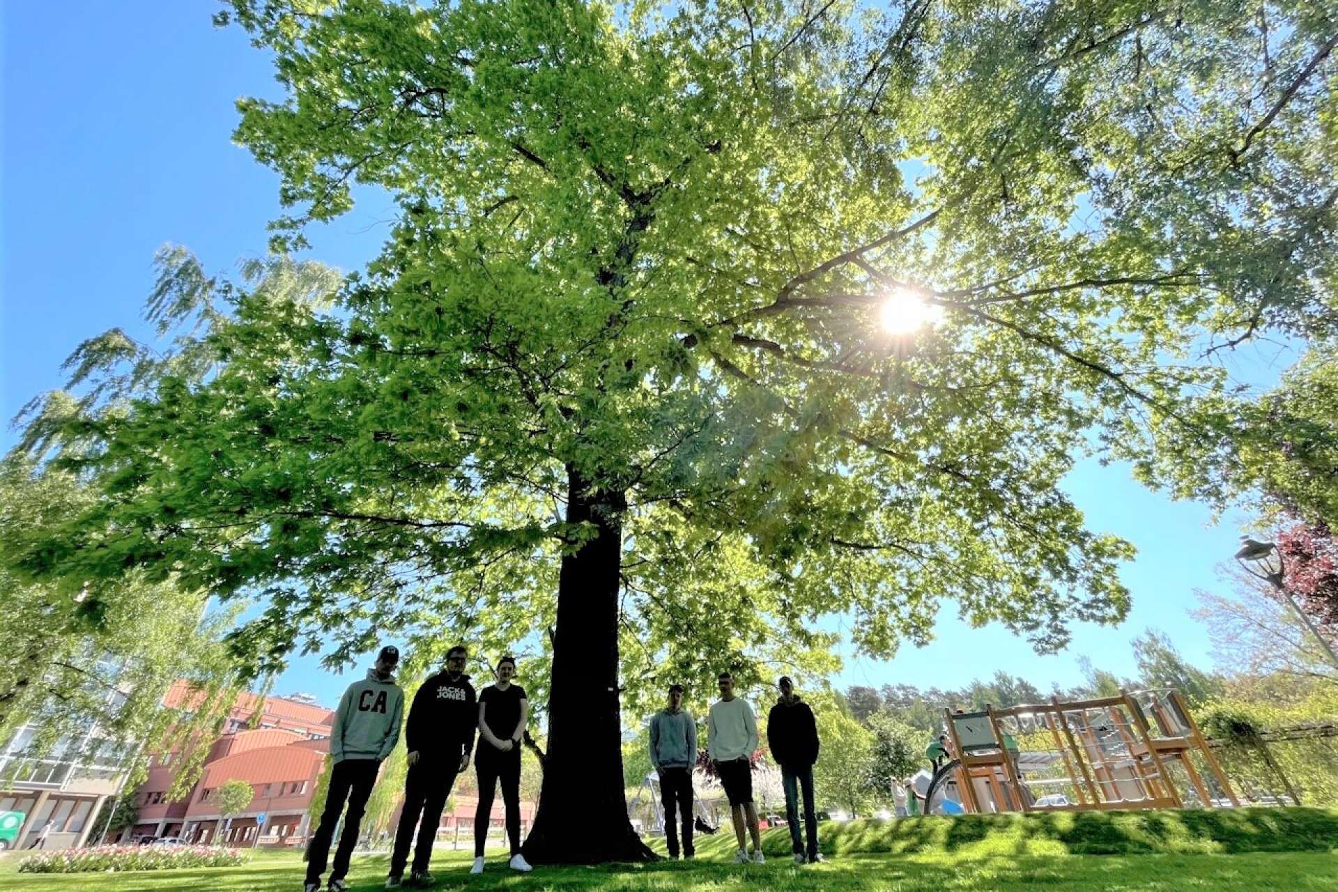 Kommunens sommartema 2023 är &quot;träd&quot;. 