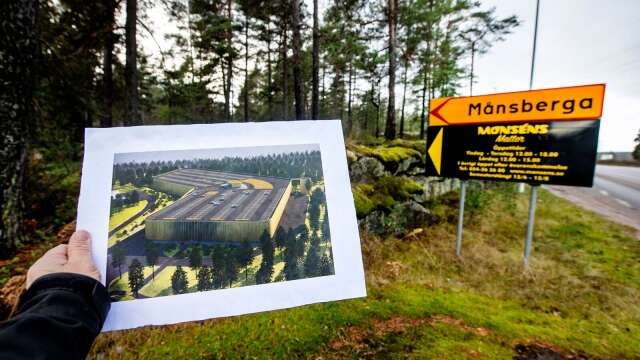 Detaljplanen för Månsberget medger en etablering av ett handelsområde. Planen är emellertid överklagad och ligger för beslut hos mark- och miljödomstolen under våren.