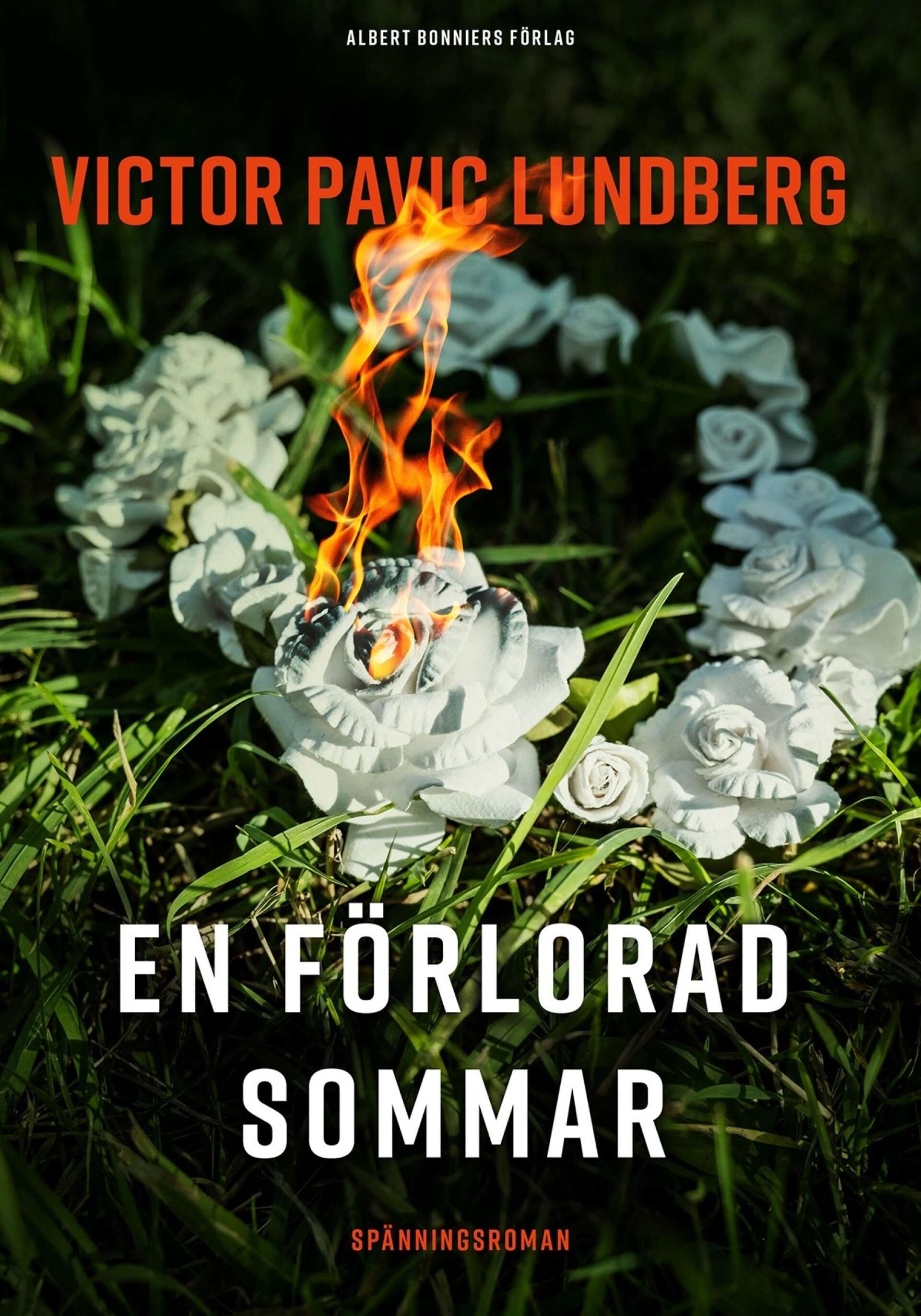 I En förlorad sommar tvingas journalisten Loa Bergman återvända till sina hemtrakter efter att en ung kvinna i Mariestad plötsligt försvinner. 