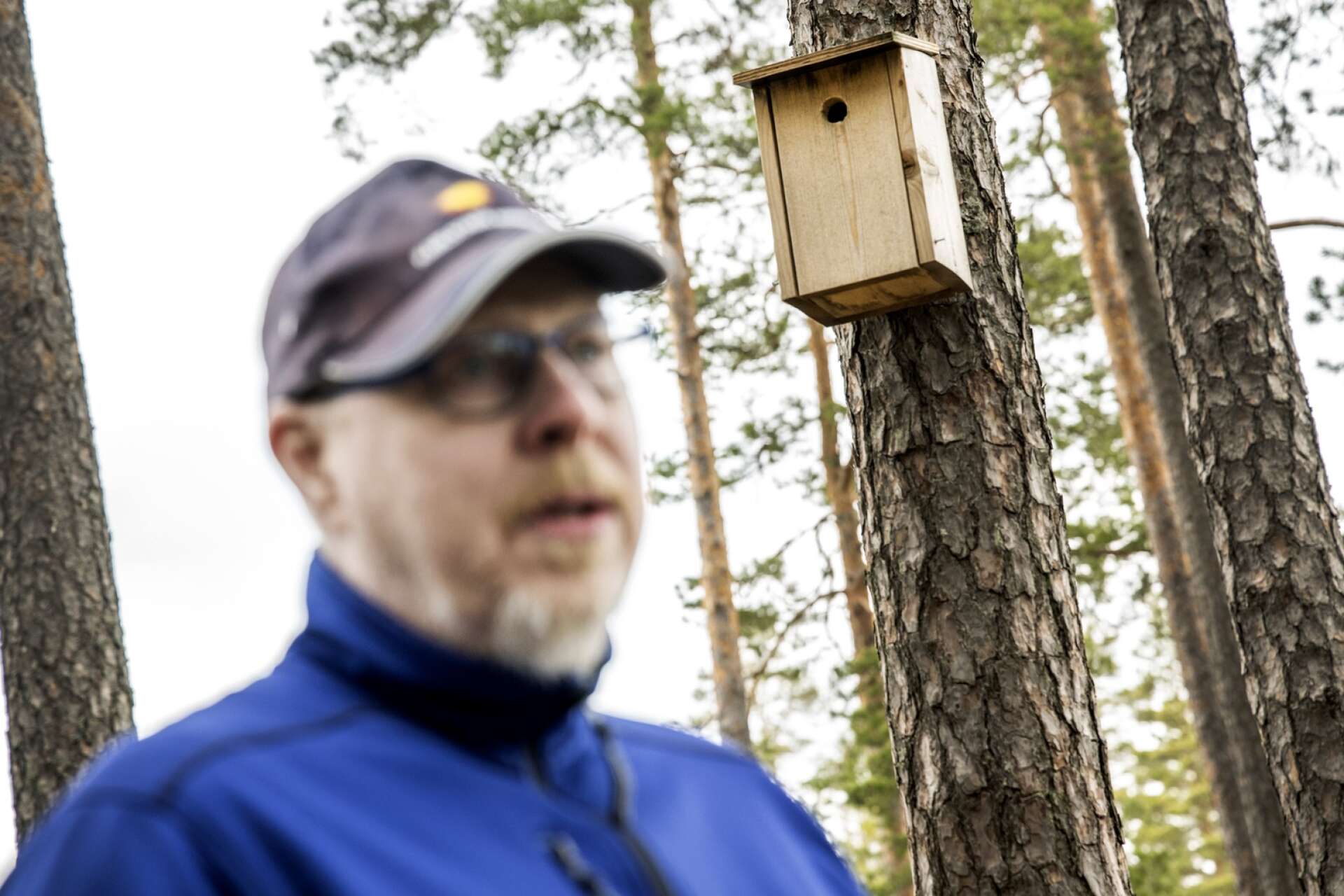 Fågelholkar är några av de saker som Micke Torstensson har tillverkat.