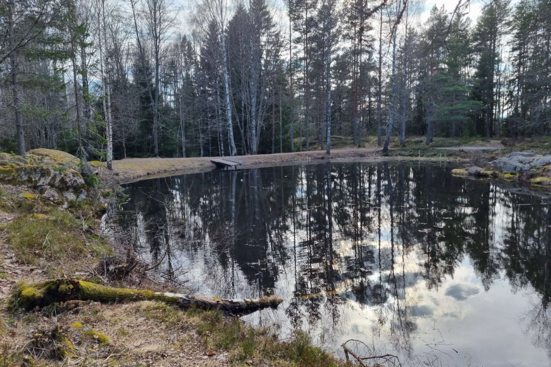 Röskalven heter den konstgjorda damm som finns vid vattentornet i Rösskogen i Åmål.