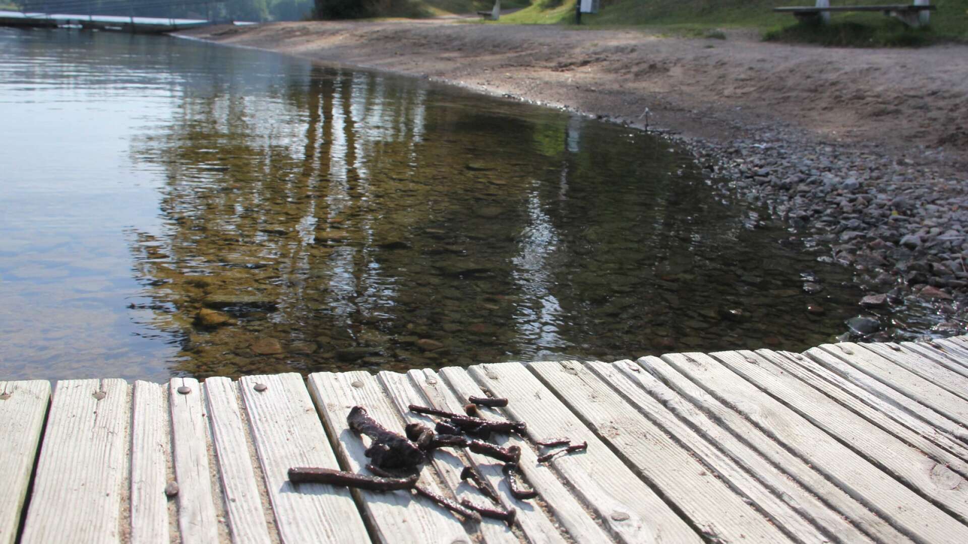 Gamla spikar påträffades i somras i vattnet längs strandlinjen på Såguddens badplats