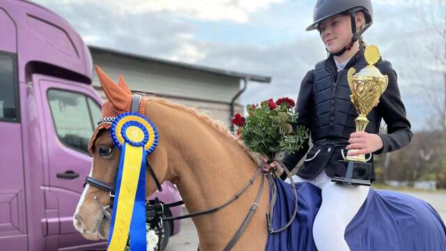 Ellen Johansson och Hamilton tog hem guldet i Ung ponny-SM i hoppning.