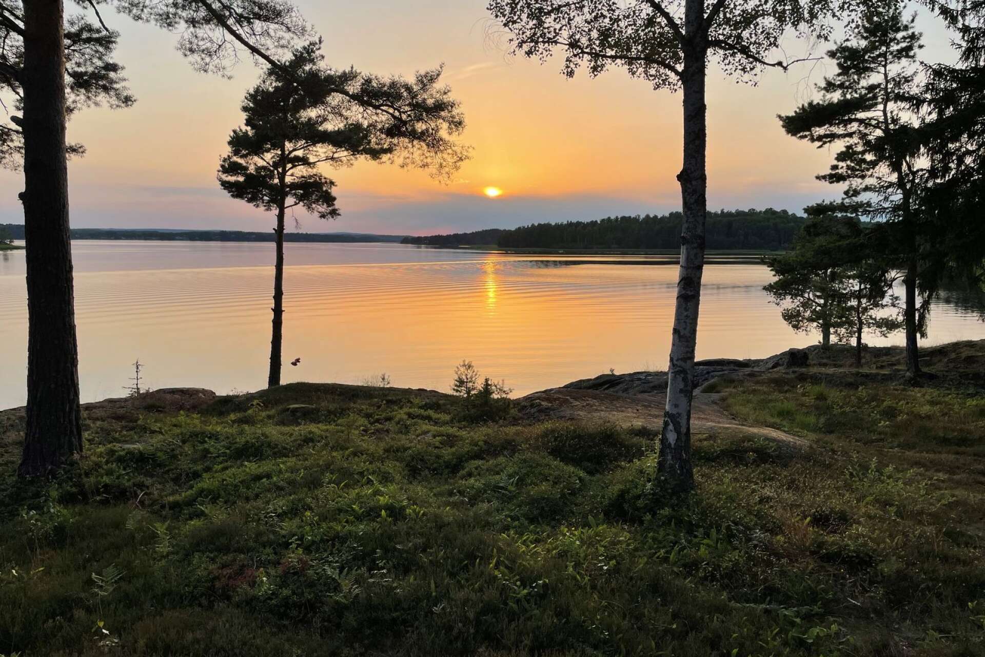 Solnedgång vid Harefjorden. Gun Svensson har tagit bilden.