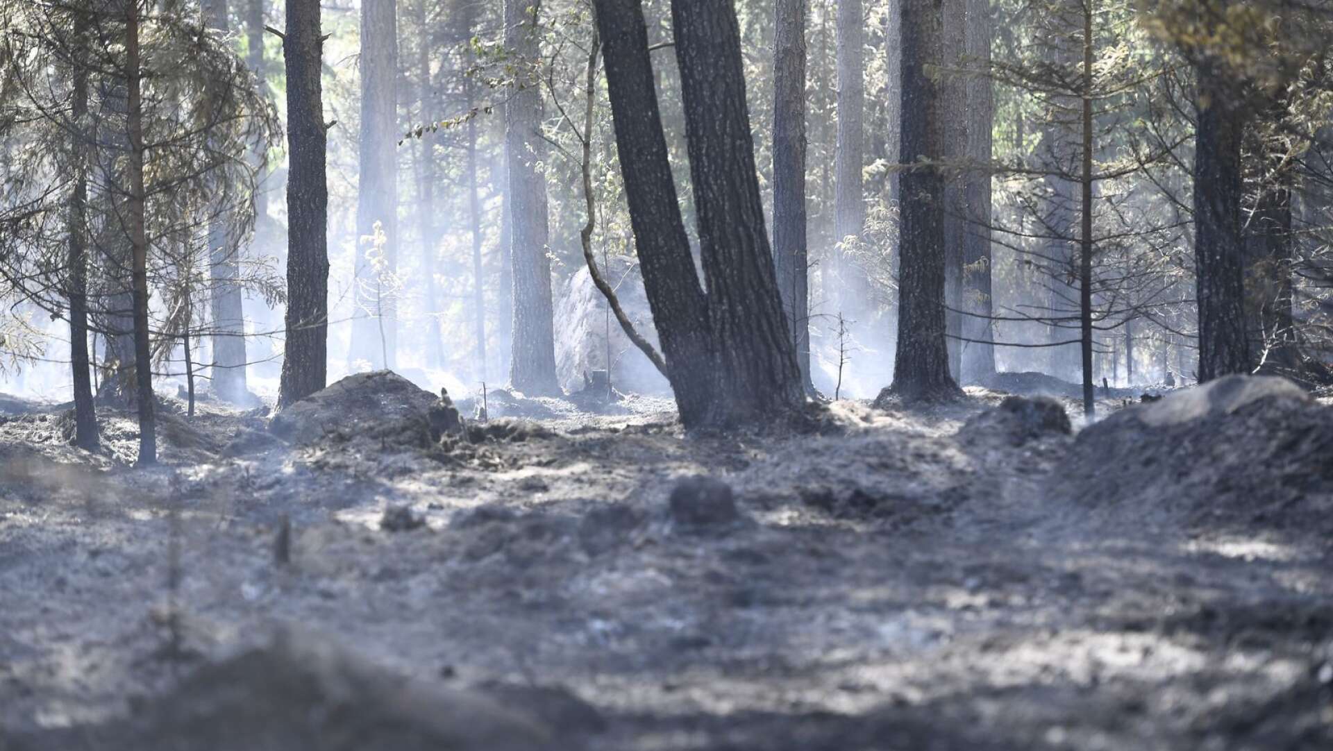 Stor till extremt stor risk för skogsbrand i Värmland de närmsta dagarna.