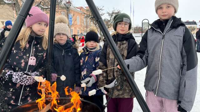 Mysfaktorn var hög hos gänget från scouterna i Skarstad/Hällum, där det grillades marshmallows för fulla muggar. 