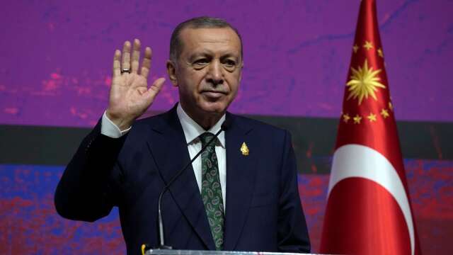Recep Tayyip Erdogan satte käppar i hjulet och begärde hindersprövning av Sveriges Natoansökan, skriver insändarskribenten.