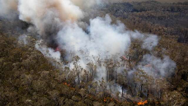 Bränderna i Australien sätter stopp för VM-rallyt. Här en bild från Queensland.