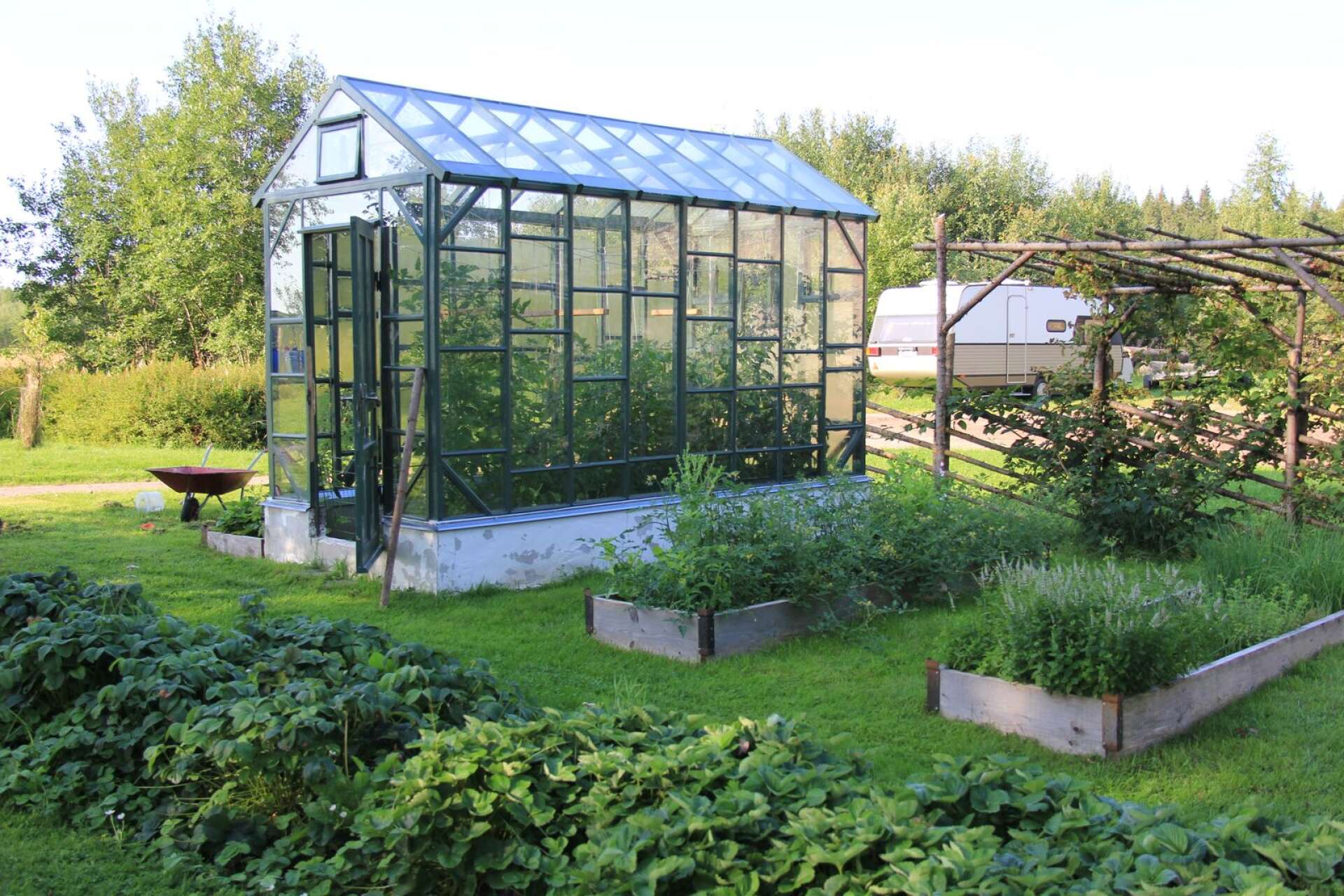 Ett växthus byggt i glas.