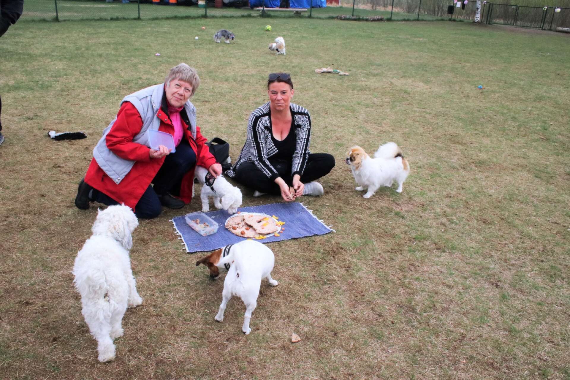 Christina Svanström och Linda Högberg med de fyrbenta födelsedagsbarnen Ockra, 10 år, och Tessie, 1 år, när Facebookgruppen ”Näsvikens hundrastgård” ordnade hundkalas.