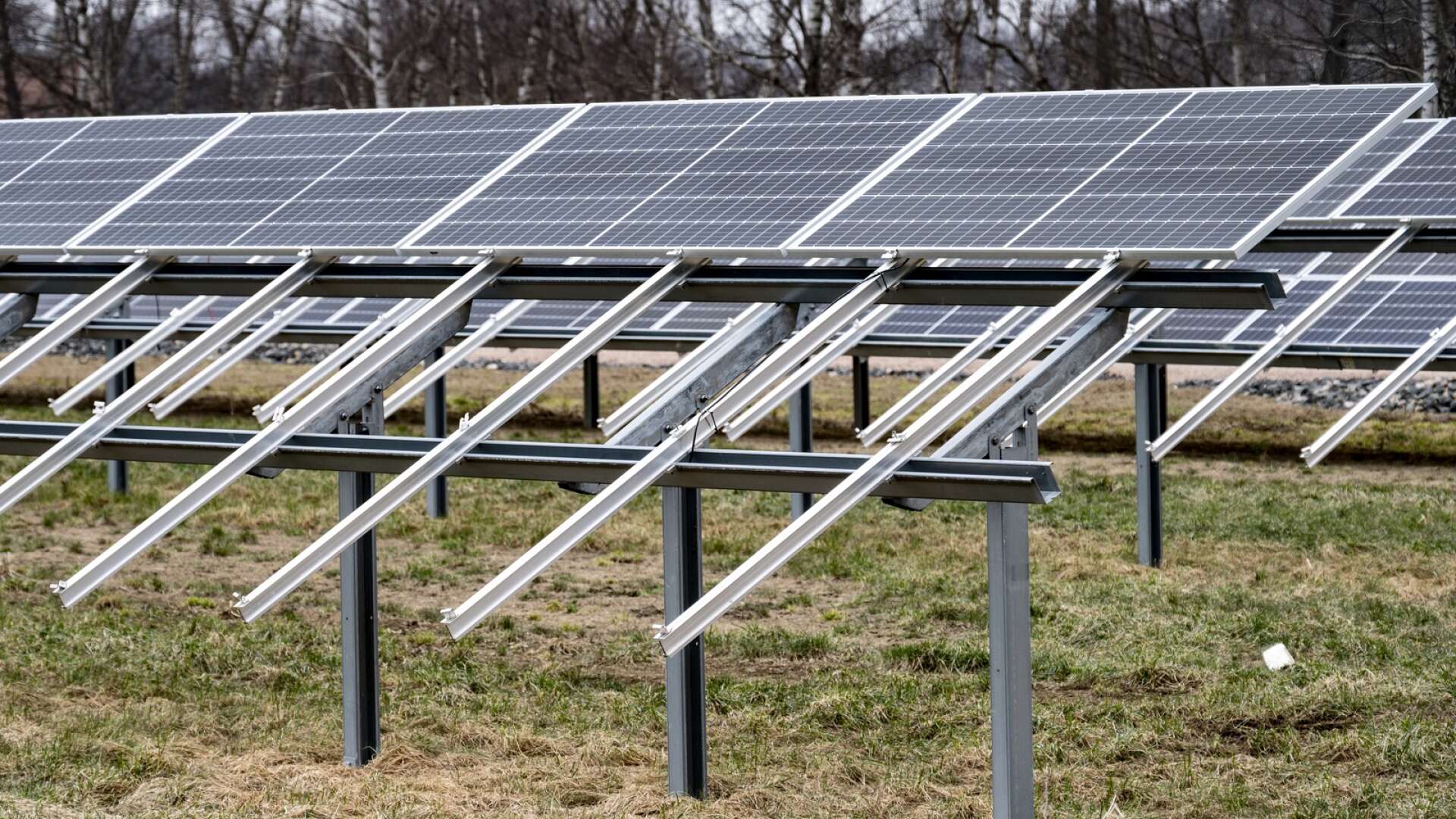 Planerna på att bygga solcellspark i Tveta har stannat av fram till våren, då länsstyrelsen ska genomföra en naturvärdesinventering på området. Bilden har ingenting med artikeln att göra.