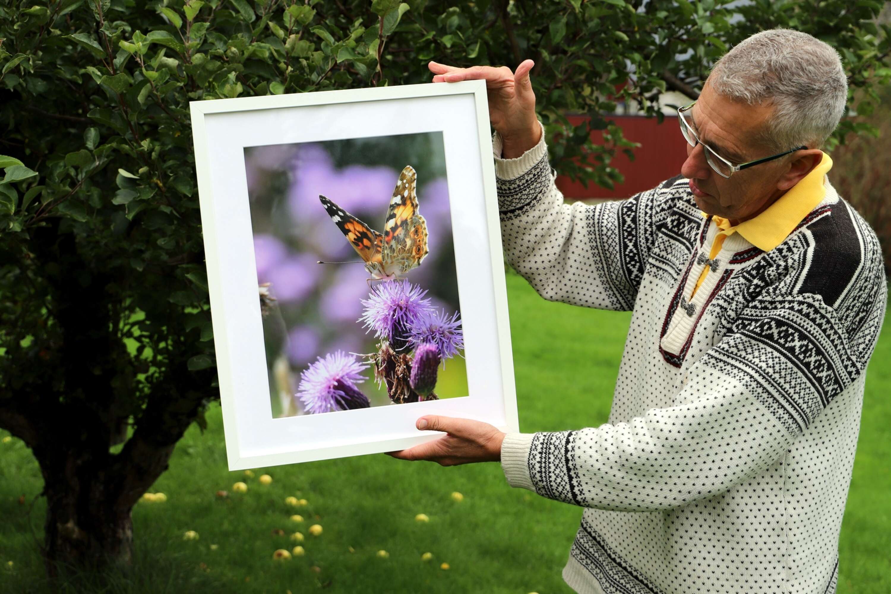 När Mikael var mellan 7 och 14 år samlade han fjärilar och intresset har hållit i sig, men numera samlar han dem bara med kameran.