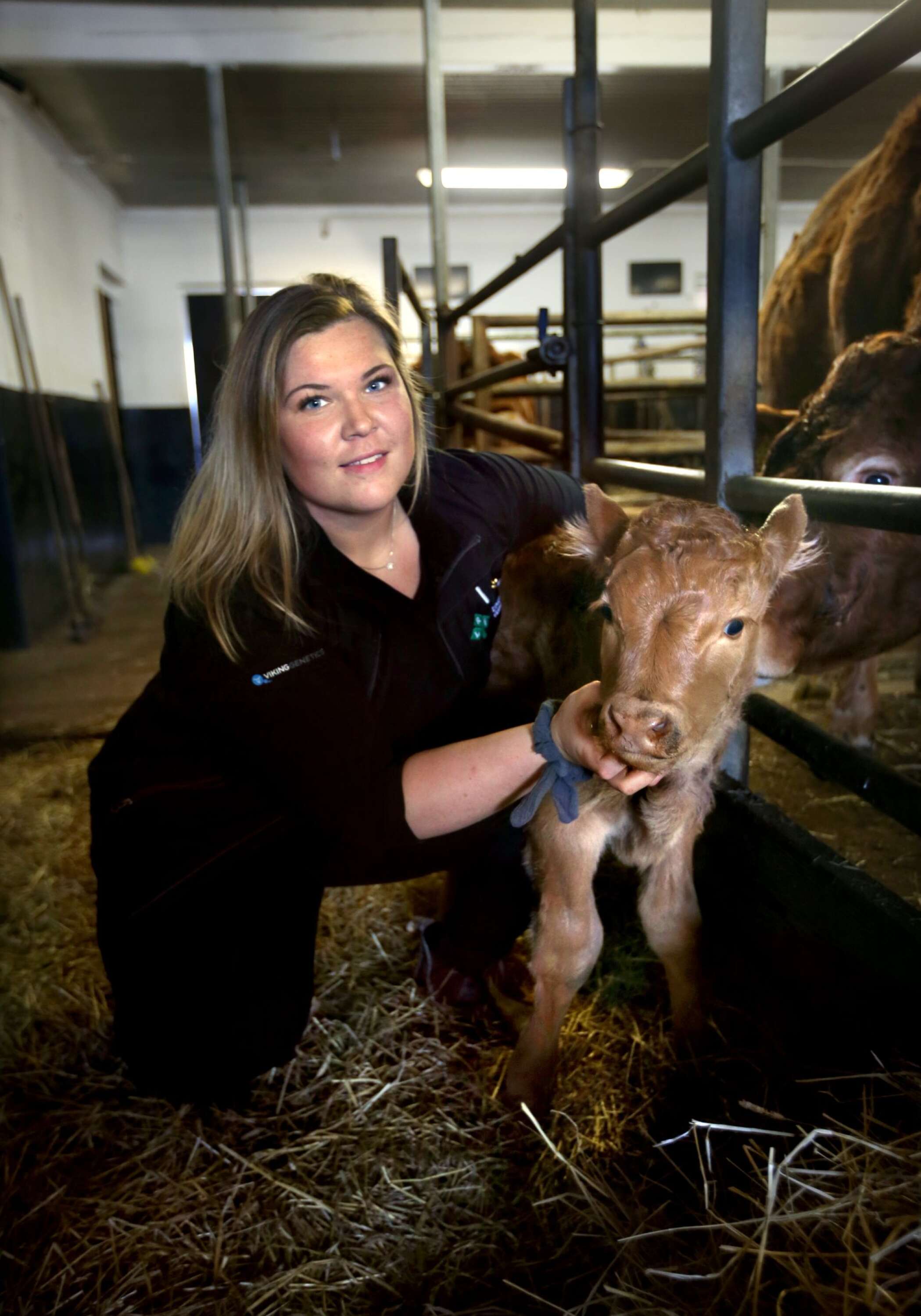 Jonna Didrikssons största intresse är kor. Första jobbet var på en mjölkgård. Nu arbetar hon med koavel.