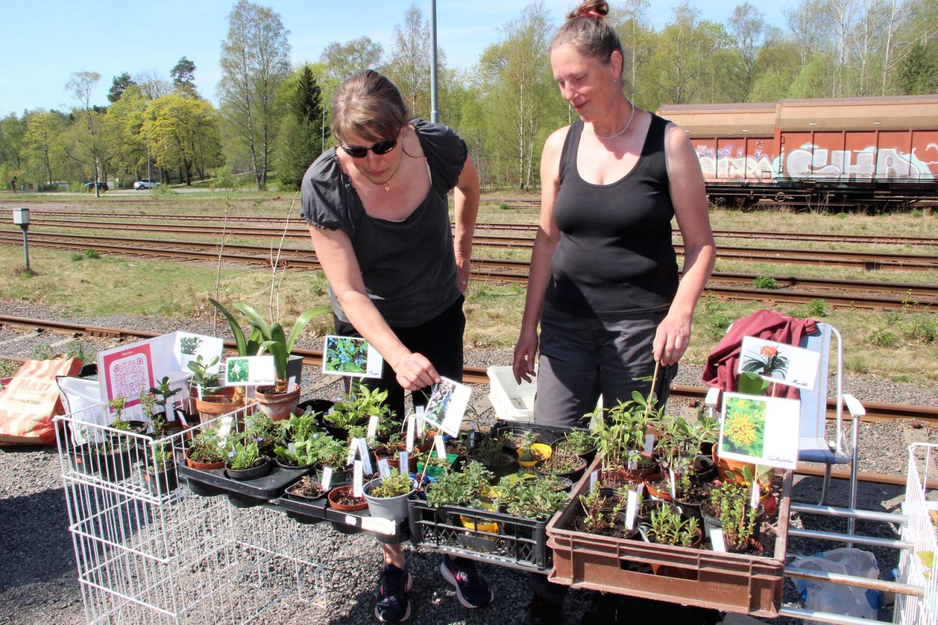 Systrarna Terése Riddersand och Yvette Josefsson sålde bra denna dag, inte minst tomatplantor och kryddväxter.