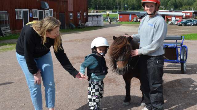 För tredje året var det åter dags för Hästens dag i Åmål. Här var det ponnykörning vid travskolan under ledning av Elisa Åhl. Stina Shala och lille Nico Laurell beundra ponnyn vid namn Kämpen.
