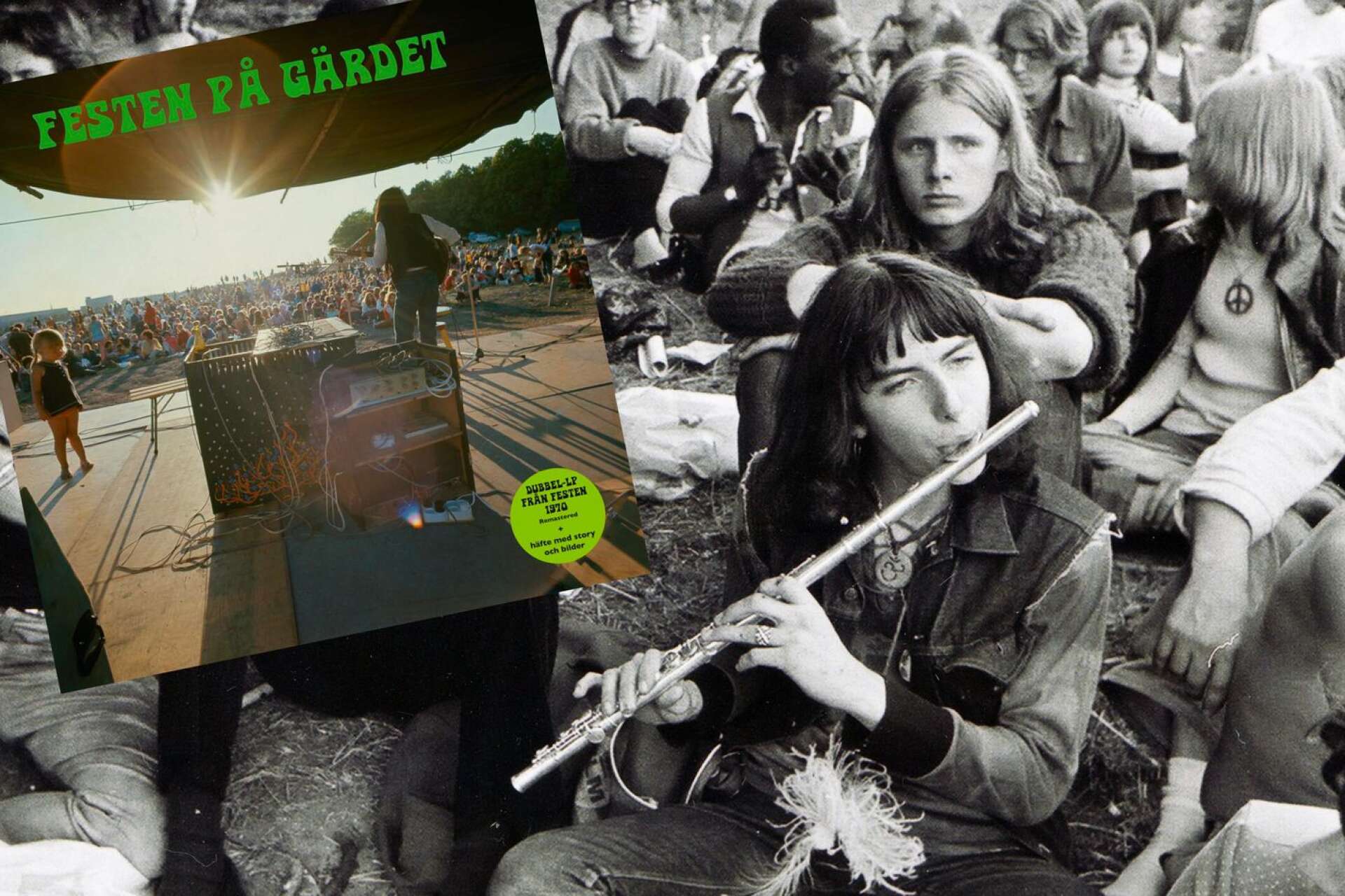 I år är det 50 år sedan Silence släppte dubbelalbumet &quot;Festen på Gärdet&quot;. Nu återutges albumet från den musikaliskt spretiga festivalen.