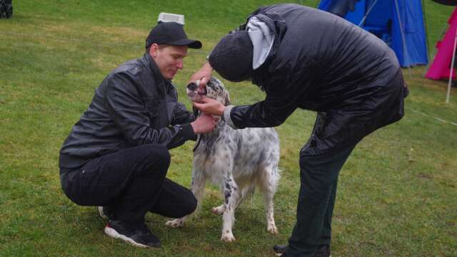 En hundutställning arrangerades på Långseruds friskola den 1 maj.