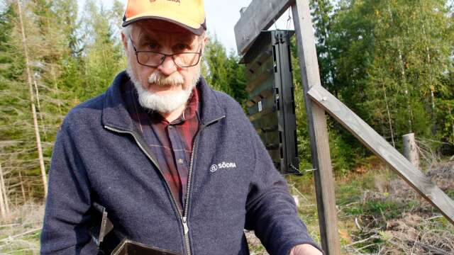Leif Aronsson, säkerhets- och naturombud i Södras skogsbruksområde Bohuslän-Dal är ansvarig för inventering av granbarkborrar. Arkivbild. 