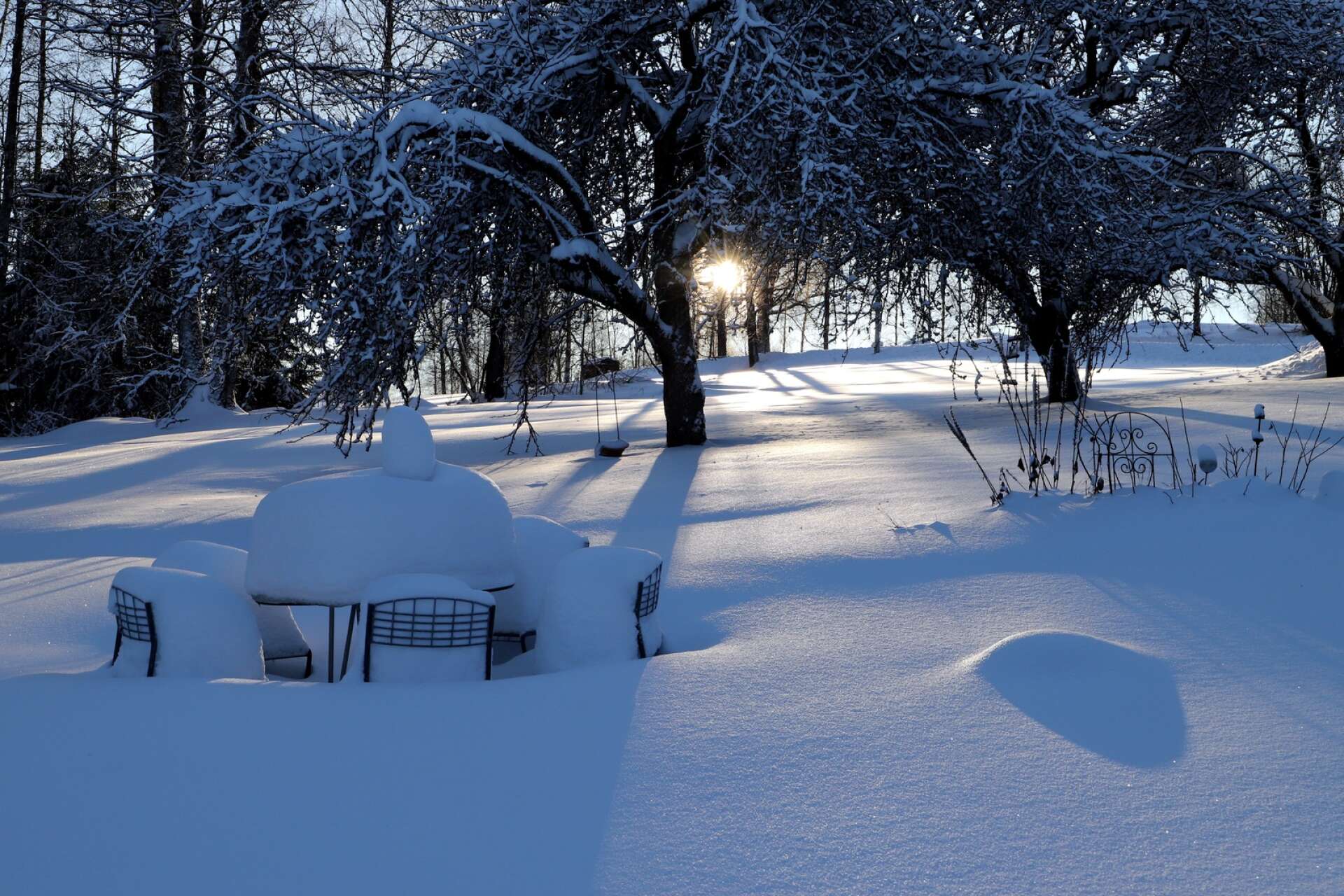 ”Snart är det vår!” hävdar Ulla Grönqvist, men visst känns det väl ganska långt borta i snön, även om solen lyser starkt.