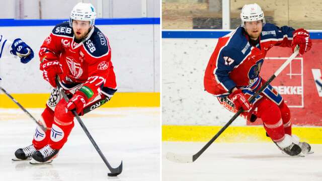 Två Värmlandslag med olika förutsättningar – här är resan mot Hockeyettan