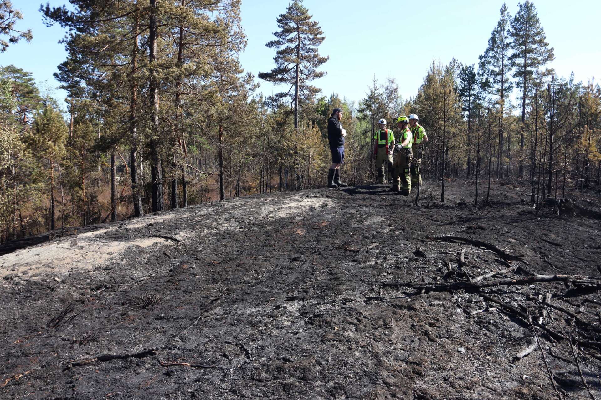 Branden i Tisselskog omfattade ett fyra-fem hektar stort skogsområde.