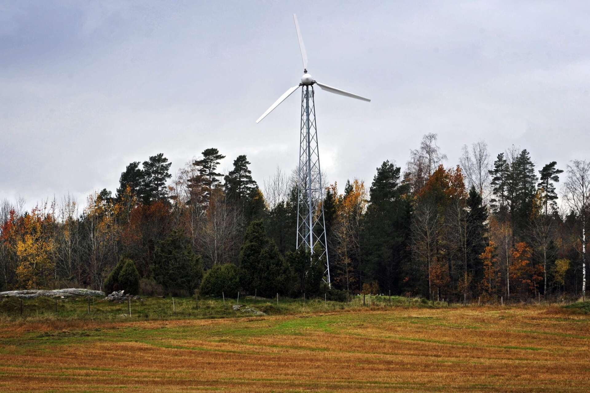Torsby kommun vill inte ha några vindkraftverk på Ripfjället.
