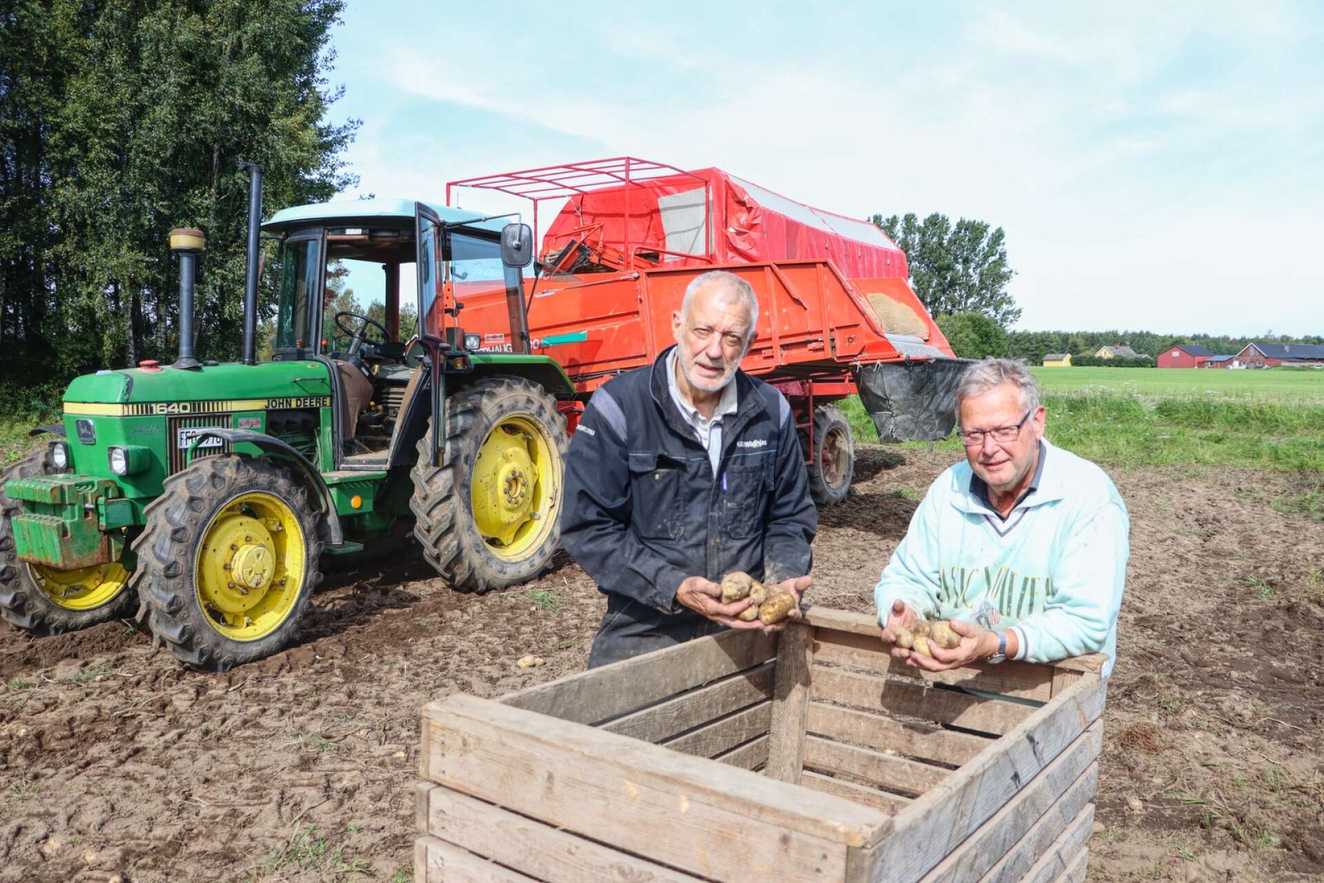 Görgen och Torgny Widhja har odlat potatis i Fridene sedan 1979. Med hela 15 olika potatissorter har de att välja på, här håller de i melody. 