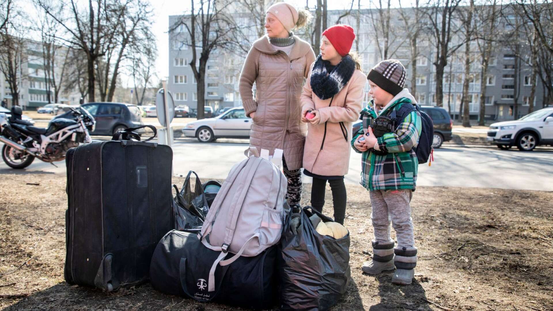 Hittills har ganska få flyktingar från Ukraina kommit till Dalsland.
