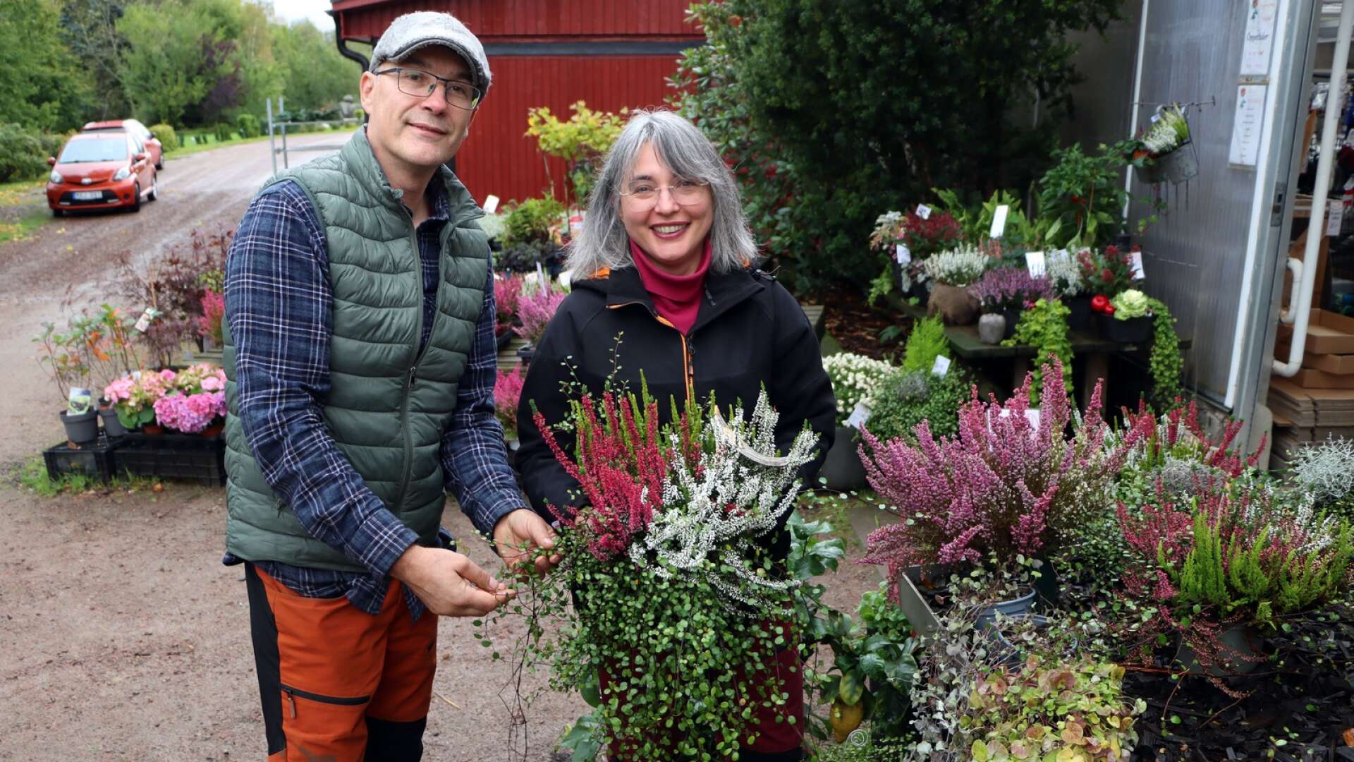 Det finns många fina höstväxter att plantera nu. Zoltan och Cleo Dioszegi på Rosenlunds trädgård ger tips om bra kombinationer som ljung i olika färger och muehlenbeckia, små blad på långa rankor.