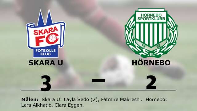 Skara FC vann mot Hörnebo SK