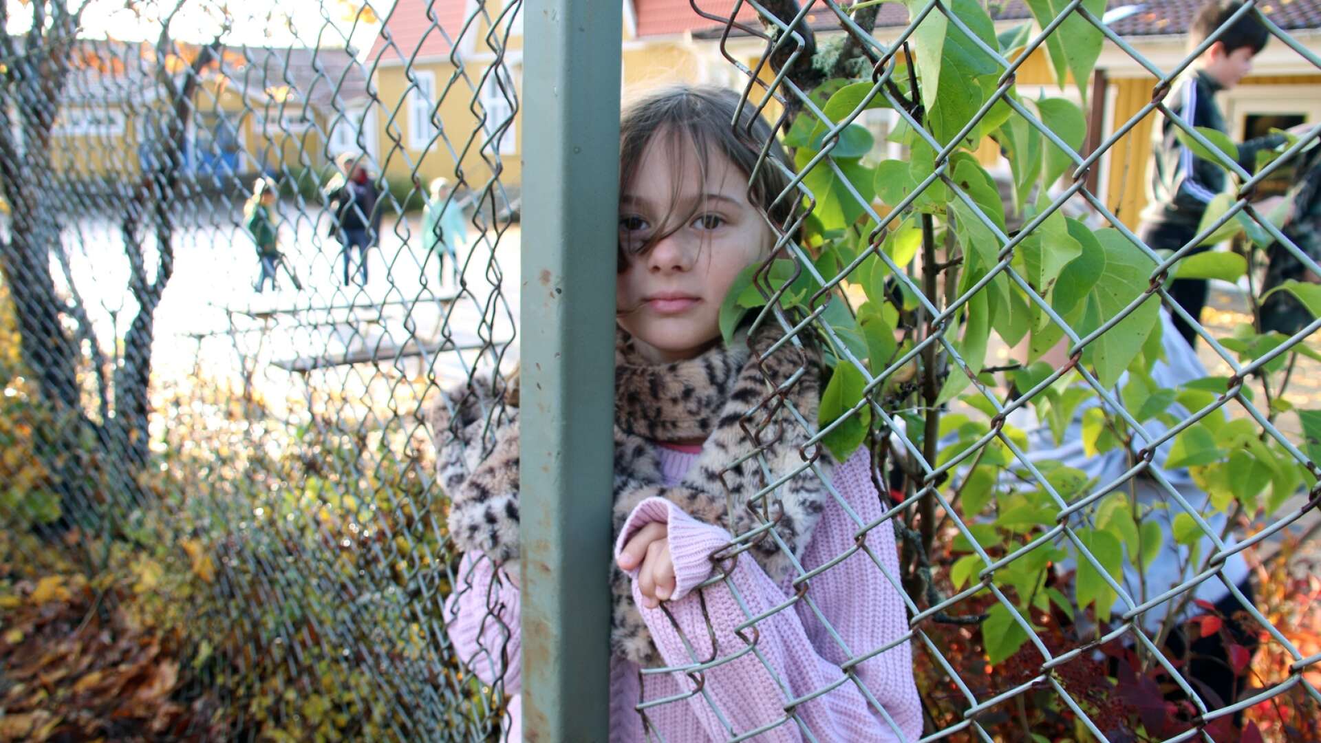 Årskurs fyra på Bruksskolan i Ödeborg är missnöjda med sin skolgård. Elin Andersson visar ett stort hål i ett staket.